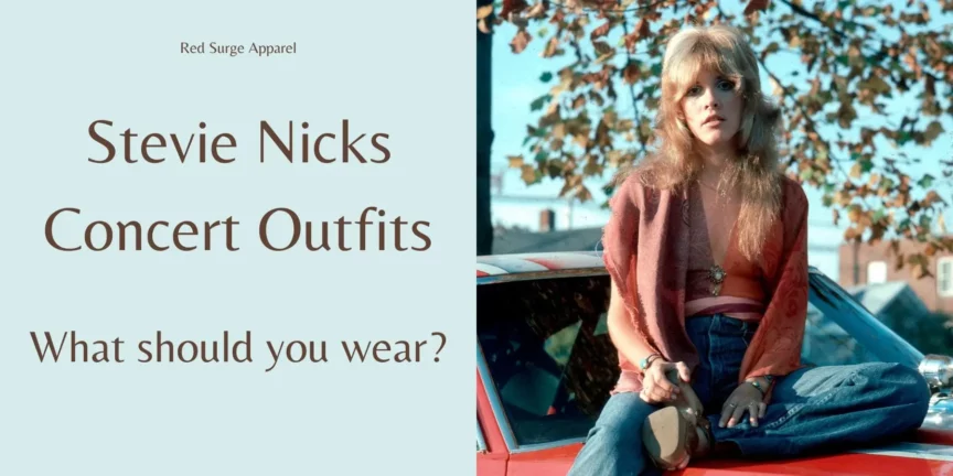 Stevie Nicks Concert Outfit - Stevie Nicks sitting on a race car - Red Surge Apparel